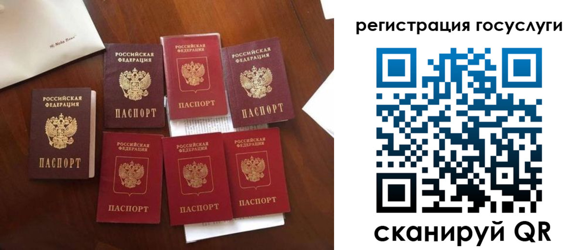 прописка гарантия в Курске
